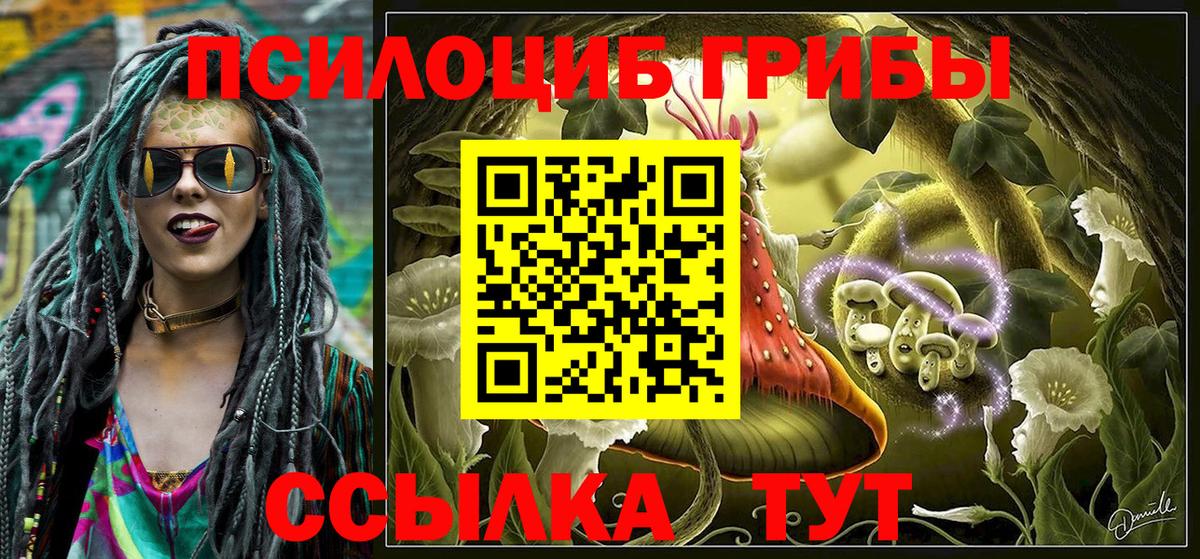 Галлюциногенные грибы Magic Shrooms Железногорск