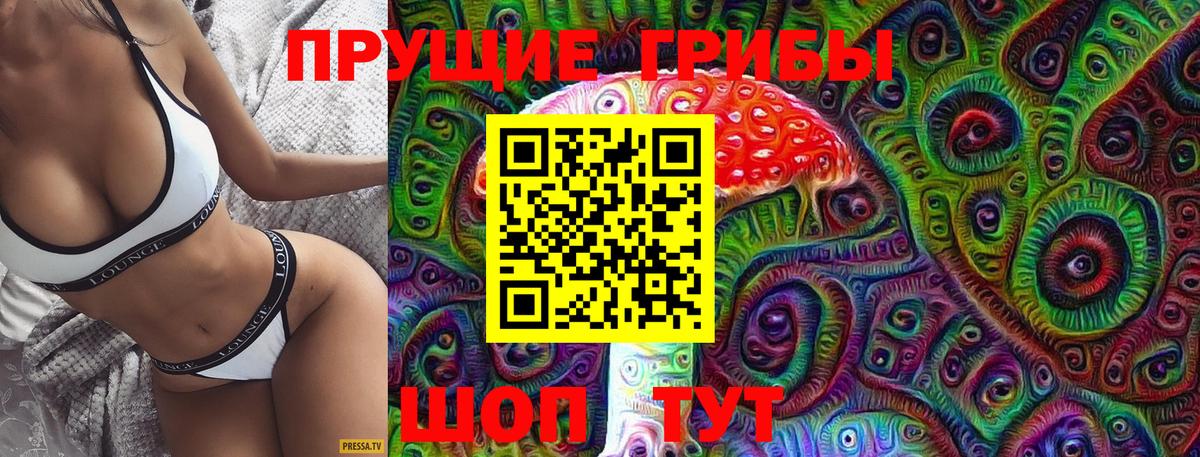 Железногорск  Псилоцибиновые грибы MAGIC MUSHROOMS  Вход с VPN  Галлюциногенные грибы GOLDEN TEACHER 